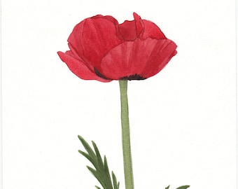 Single Red Poppy Original Watercolor 5