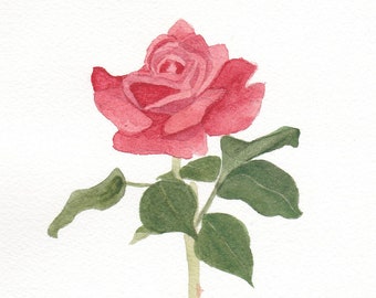 Aquarelle originale rose rose par Wanda's Watercolors