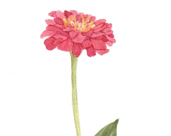 ジョアン アイザック(Joanne Izaac)「Zinnias」 Yahoo!オークション -「ジョアンアイザック」(版画) (美術品)の