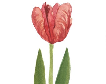 Red Parrot Tulip Original Watercolor #2