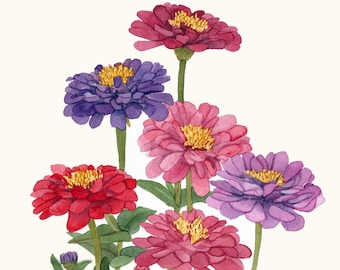 Pink and Purple Multicolor Zinnias Original Watercolor Painting 15 x 22 by Wanda's Watercolors