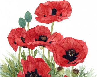 Field of Red Poppies Original Watercolor Painting by Wanda Zuchowski-Schick