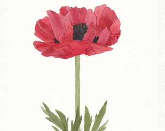 Single Red Poppy Original Watercolor 6