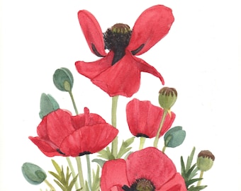Perfect gift for Mother's Day. Assorted Poppy Floral Blank Notecards Set of Five Watercolor Reproductions