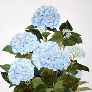 Ensemble de cinq cartes de correspondance 5 x 7 représentant une reproduction florale à l'aquarelle d'hortensias bleus et roses