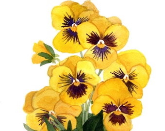 Yellow Pansies Original Watercolor Painting 2 by Wanda Zuchowski-Schick
