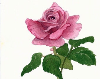 Pink Rose 5.7 Original Watercolor