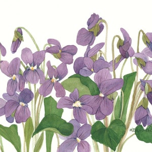 Biglietti per appunti vuoti viola assortiti 5 x 7 Confezione di cinque riproduzioni di acquerelli con busta