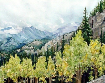 Rocky Mountain Aspens in Rocky Mountain National Park