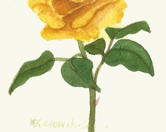 Yellow Rose 5.7 Original Watercolor