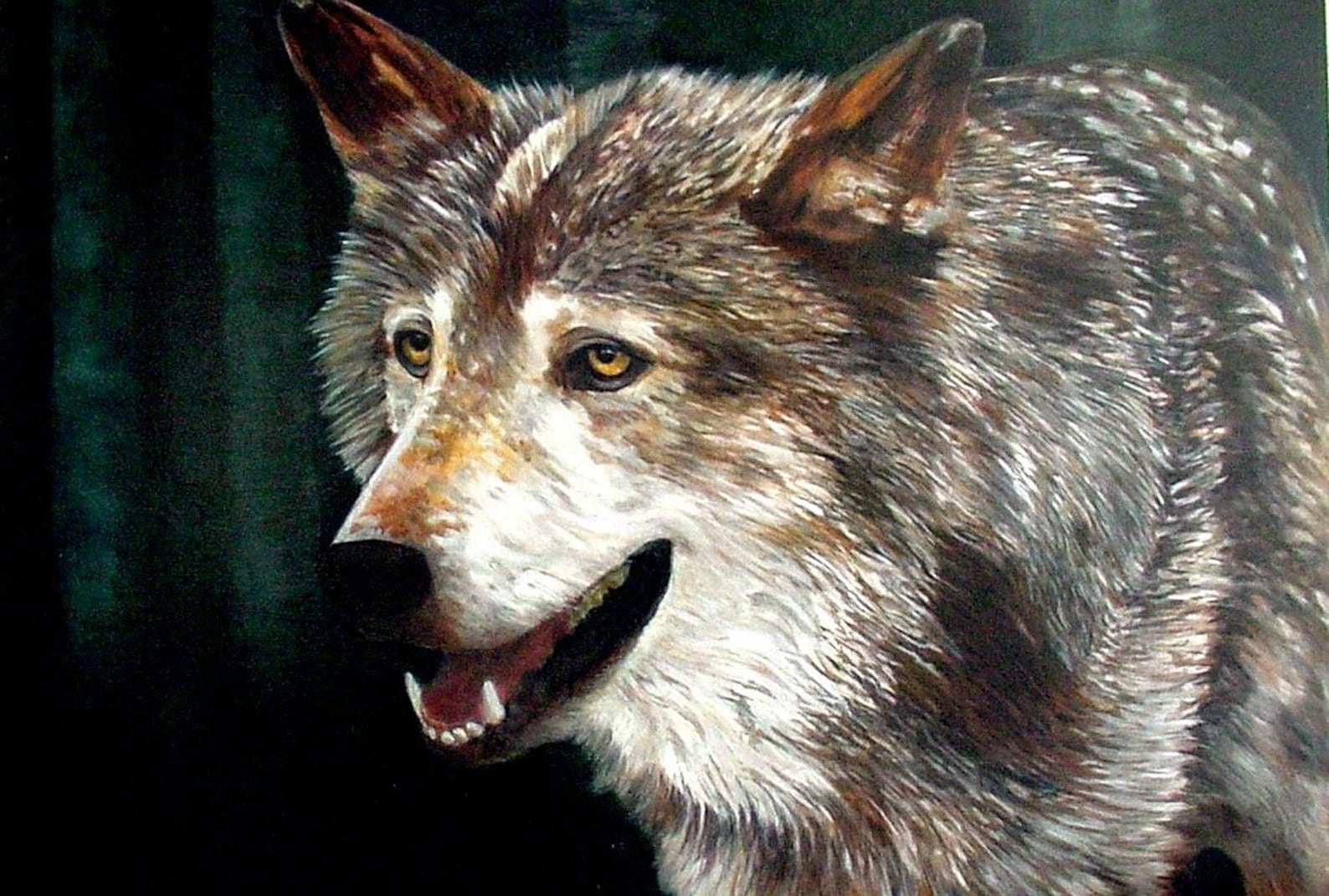 Ориджинал волки. Wolf print. Картины волки пара. Картина волки. Картины с волками фото.