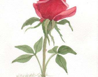 Red Rose Original Watercolor Painting