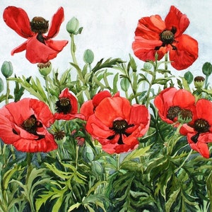 Rote Mohnblume Grußkarten, Set aus fünf Aquarellen Bild 1