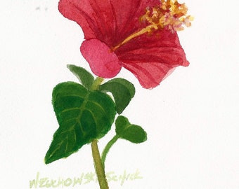 Mother's Day Red Hibiscus Original Watercolor by Wanda Zuchowski-Schick