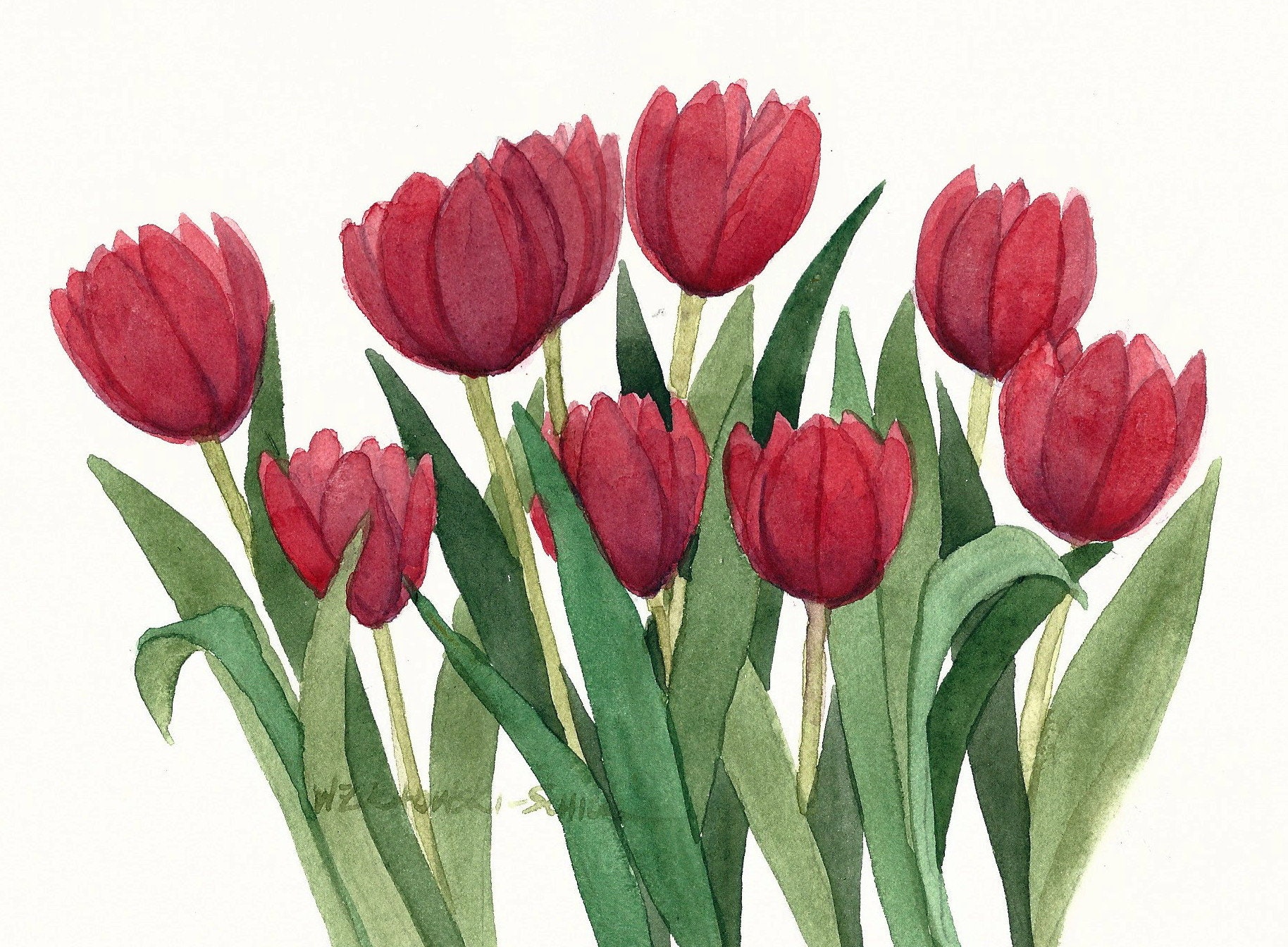 Red Tulip Group Original Watercolor 2 - Etsy