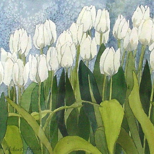 White Tulip Field Watercolor by Wanda"s Watercolors