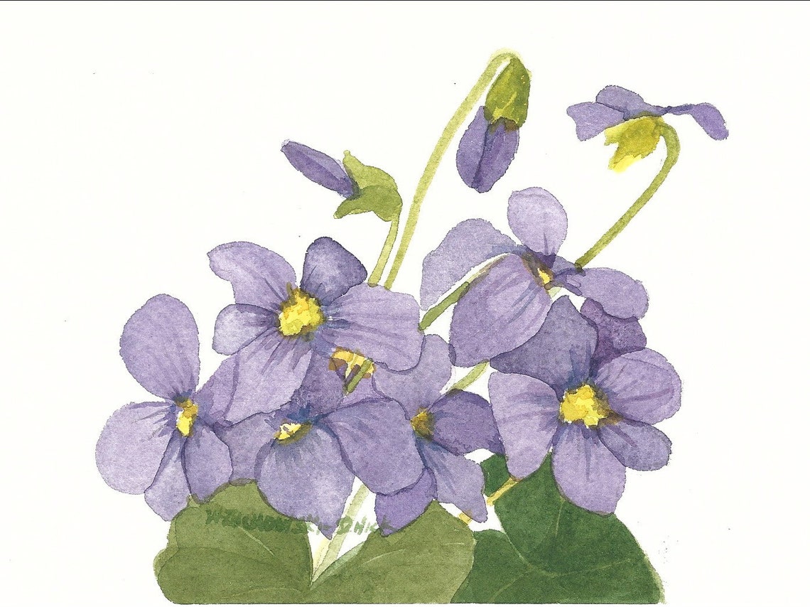 Floral blank note cards 5 x 7 pack of five watercolor etsy