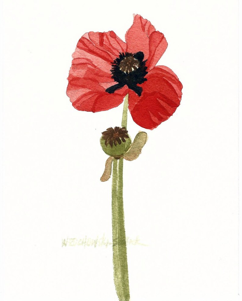 Red Poppy Original Watercolor 2 image 1