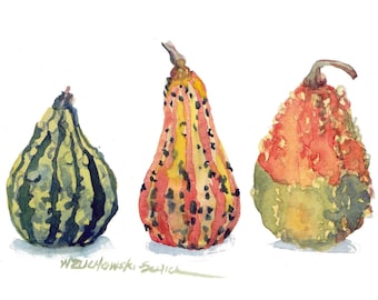 Holiday Gourds Note Cards Set of Five Watercolor Painting Reproductions