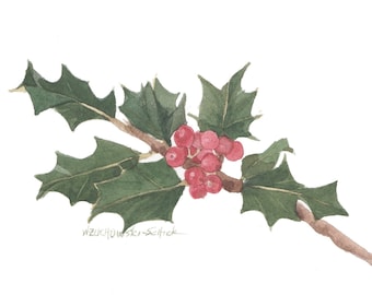 Holiday Holly Note Cards Set of Five Watercolor Painting Reproductions