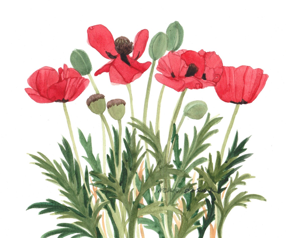 Floral blank note cards 5 x 7 pack of five watercolor etsy