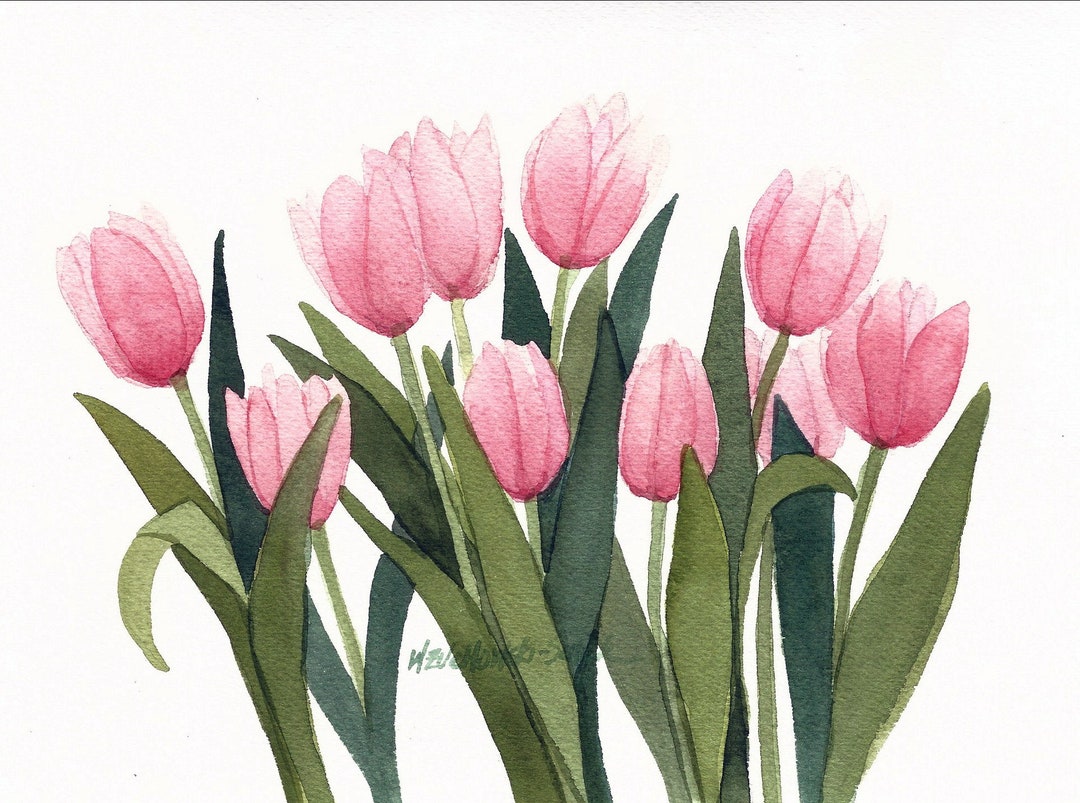 Multi Colored Tulip Floral Blank Note Cards 5 X 7 Pack of Five - Etsy
