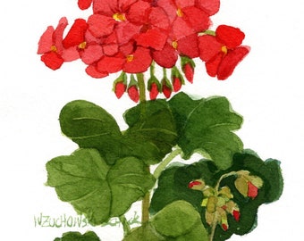 Mother's Day Red Geraniums Original Watercolor 5 x 7 by Wanda's Watercolors