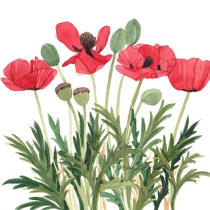 Rote Mohnblume Grußkarten, Set aus fünf Aquarellen Bild 4