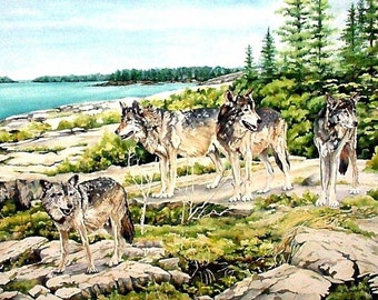 Wolfpack at watch on Scoville Point, Isle Royale National Park