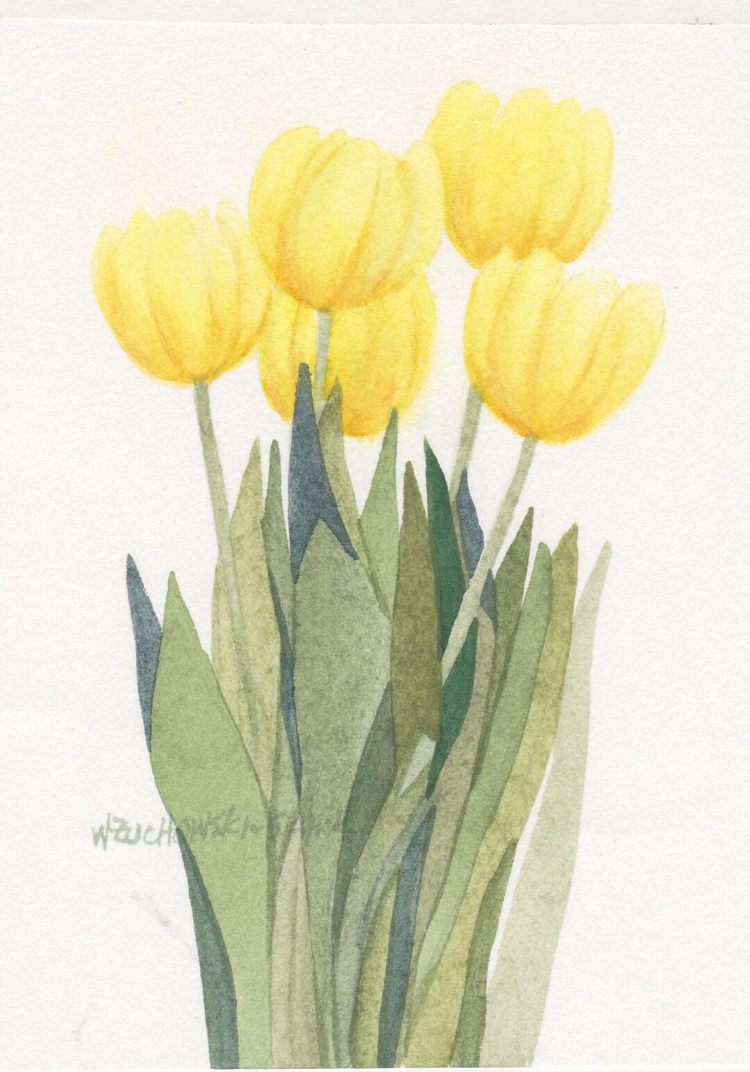 Yellow Tulips Group Original Watercolor Zl by Wandas Watercolors - Etsy
