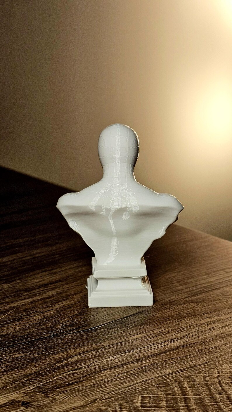 Op de afbeelding: Een witte borstbeeldsculptuur die het bovenlichaam van een persoon afbeeldt. De sculptuur is gemonteerd op een rechthoekige basis en is gemaakt van een glad, stevig materiaal. De buste staat tegen een neutrale achtergrond.