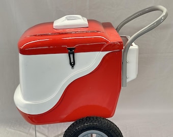Ice Cream & Paleta Push Cart with Basket – Multiple Colors Available