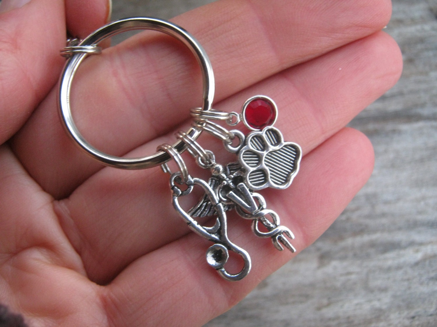 Key Chain Veterinary Veterinarian Keychain, Veterinary Doctor Zipper Pull , Caduceus ...