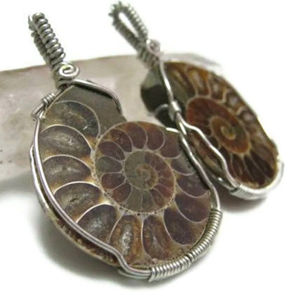 Ammonite Fossil Wire Wrapped Pair of Pendants