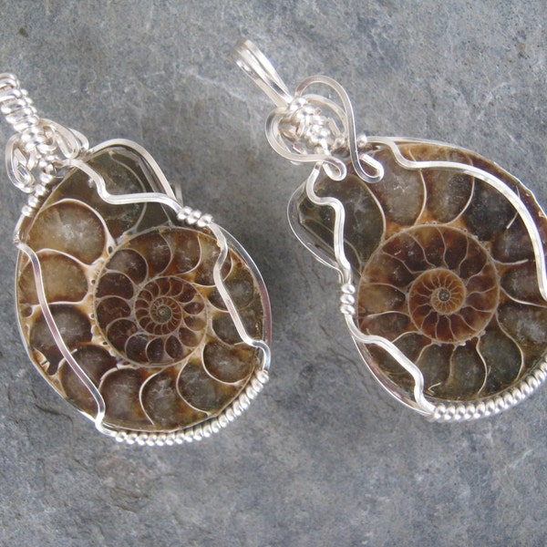 Su & ella colgante amonita, AAA Nautilus fósil par, mejores amigos, alambre envuelto listo par de colgantes, no deslustre de la plata, a nave