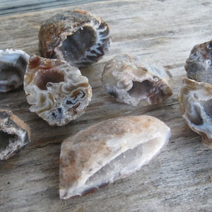 May include: A collection of seven agate geode crystals with various shades of brown, white, and gray. The geodes are cut open to reveal the crystal formations inside.