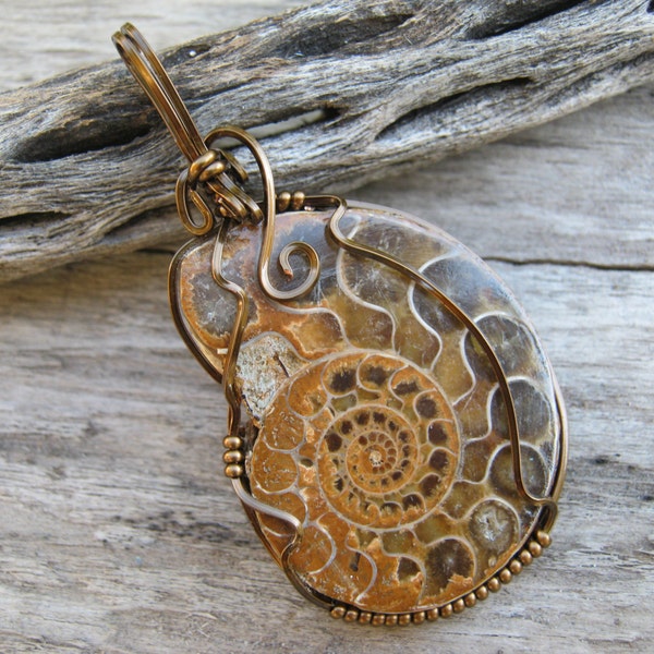 AA Ammonite Fossil Pendant, Nautilus Spiral Pendant, Antique Brass Wire Wrapped Pendant, Root Chakra Pendant, Fibonacci, READY To SHIP AM1