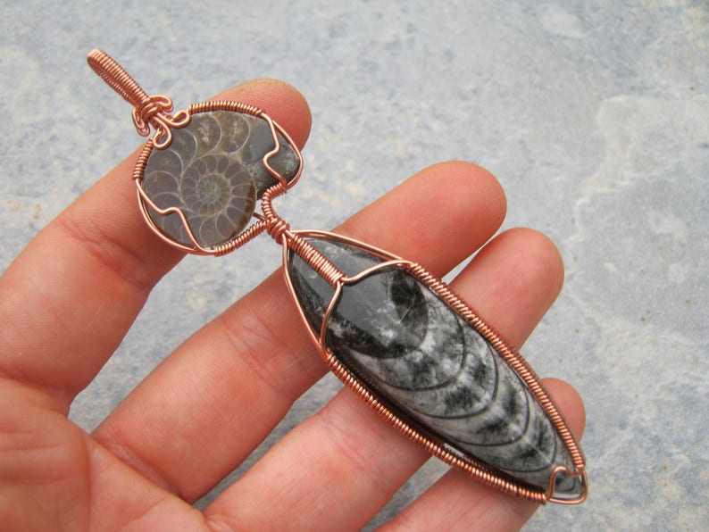 HUGE Ammonite & Orthoceras Pendant, Fossilized Squid Pendant, Fossil Copper Wire Wrapped Pendant, Statement Jewelry, Prehistoric, GP6 image 1