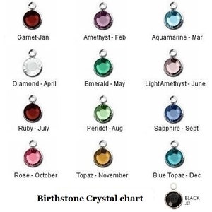May include: A chart showing the birthstones for each month of the year. The chart features a silver pendant with a crystal gemstone for each month. The gemstones are: Garnet, Amethyst, Aquamarine, Diamond, Emerald, Light Amethyst, Ruby, Peridot, Sapphire, Rose, Topaz, Blue Topaz, and Black Jet.