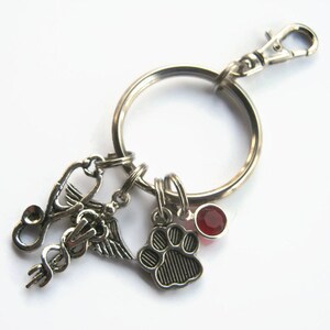 Key Chain Veterinary Veterinarian Keychain, Veterinary Doctor Zipper Pull , Caduceus ...