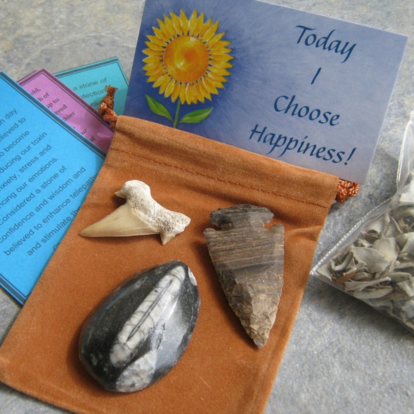 Instant Fossil Set, Instant Fossil Collector Kit, Orthoceras, Fossilized Shark Tooth & Arrowhead with Affirmation, California White Sage