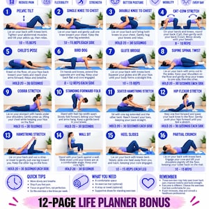 May include: An instructional chart titled Lower Back Pain Relief Exercises featuring 16 numbered illustrations of physical stretches and strengthening movements, plus a bonus section for a 12-page life planner with various tracking templates.
