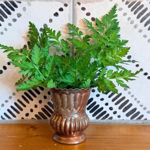 Peut inclure: Un petit vase en métal de couleur cuivre avec un bord festonné et des détails cannelés verticaux sur le corps. Le vase est rempli d'un bouquet de feuillage vert vif ressemblant à de la fougère avec des feuilles délicates et plumeuses.