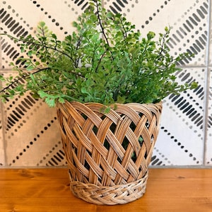 May include: A woven rattan plant pot with a light brown finish and a crisscross lattice pattern, featuring a thick braided base. The pot contains a lush, vibrant green artificial fern with delicate, feathery leaves that spill over the top rim.