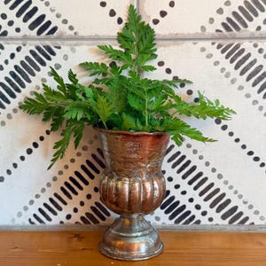 May include: A metallic copper-toned goblet-style vase with a fluted body and a wide, scalloped rim. The vase is filled with vibrant green fern fronds that extend outward from the top, creating a contrast against the polished metal surface.