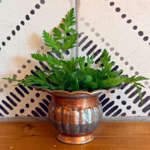 Peut inclure: Un petit pot de fleurs métallique rond avec une finition cuivrée et un bord festonné. Le pot présente des détails cannelés verticaux sur son corps et contient un bouquet de feuillage vert vif rappelant la fougère aux feuilles délicates.