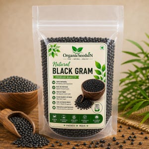 Peut inclure: Un sachet en plastique transparent refermable rempli de petites graines de gram noir rondes. L'étiquette porte le texte OrganicSeedsIN, Natural Black Gram, et énumère des avantages comme 100% naturel, riche en protéines et source de fer.