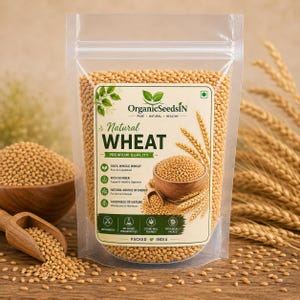Peut inclure: Un sachet transparent debout rempli de grains de blé brun clair. L'étiquette porte le texte OrganicSeedsIN, Natural WHEAT et Premium Quality, ainsi que des icônes et des descriptions soulignant que le produit est du blé entier et riche en fibres.