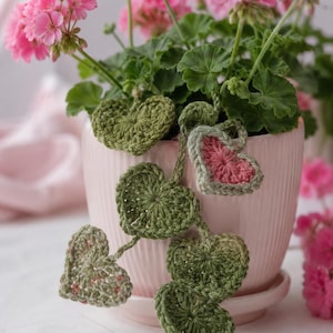 May include: A light pink ribbed ceramic flower pot containing a green geranium plant with bright pink flowers. A crocheted vine with several heart-shaped leaves in shades of olive green and one heart with a pink center hangs over the pot edge.