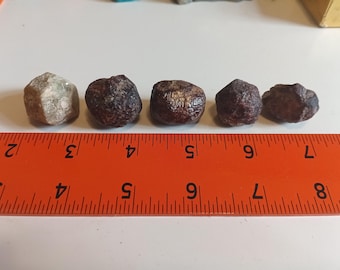 One rough Grossular Garnet and Four rough red Garnets 95g in all lot of 5.